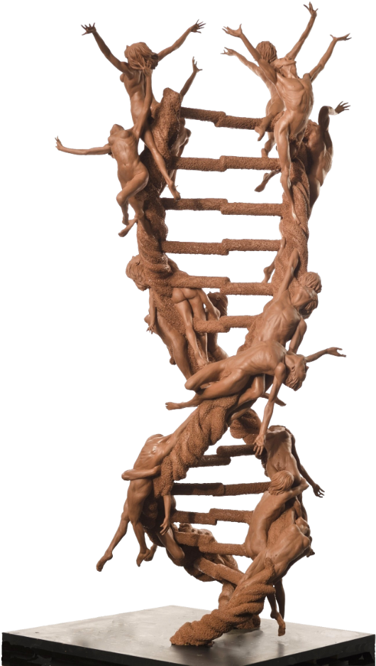 “the Double Helix Xx-xy” Imagines An Animated Strand - Dna Double Helix Art (650x981), Png Download