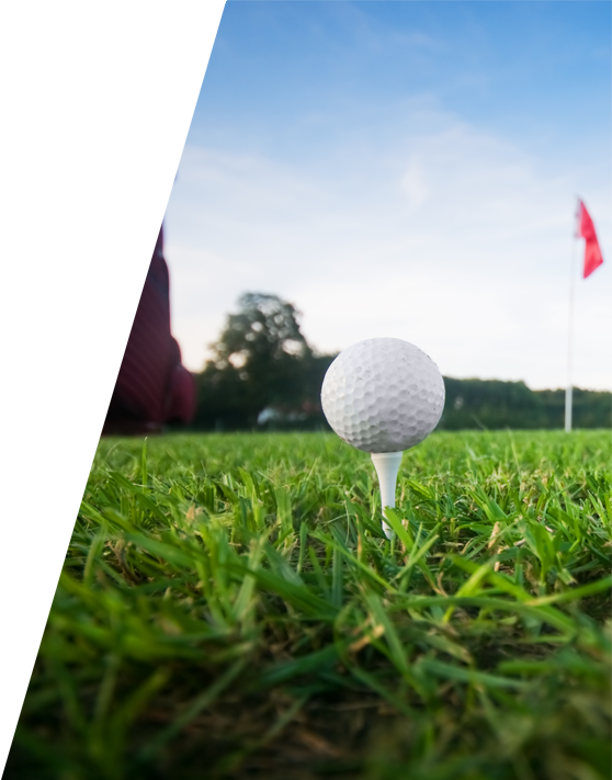 Notable Features - Golf (558x711), Png Download