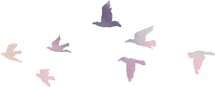 150 Images About Emoji On We Heart It - Draw A Far Away Bird (800x600), Png Download