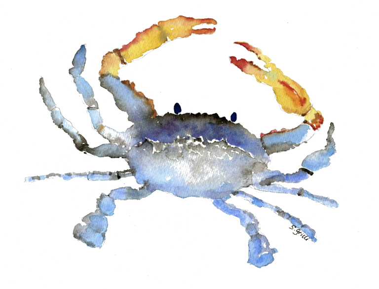 Cornelius The Crab Watercolor - Watercolor Crab Transparent Background (768x586), Png Download