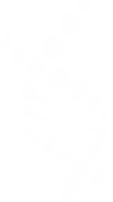 White Logo - White (376x670), Png Download