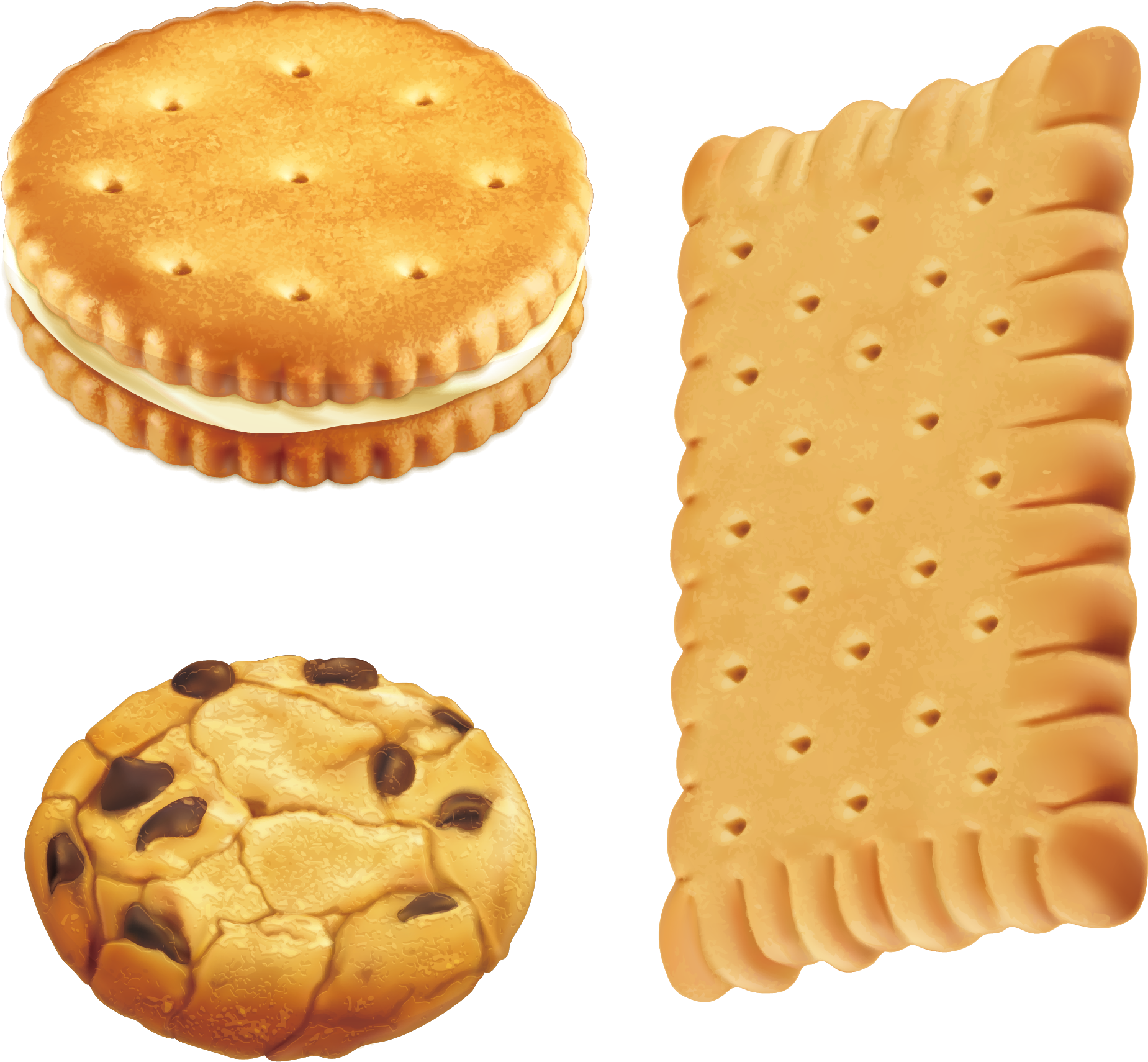 Chocolate Chip Cookie Royalty - Biscuit Clipart (1914x1867), Png Download