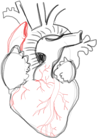 By This Point We're Really Close To Being Finished - Drawing (500x500), Png Download