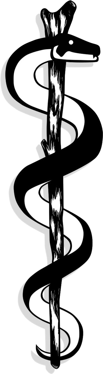 Rod Of Asclepius - Venezuela's Health Care Revolution [book] (444x1480), Png Download