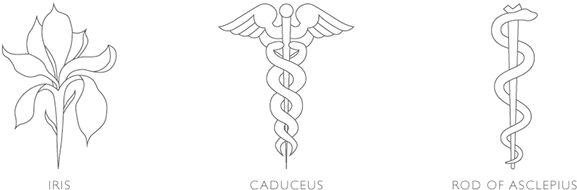 In The Meso Logo, I Chose To Incorporate The Serpent - Rod Of Asclepius Logos (600x227), Png Download