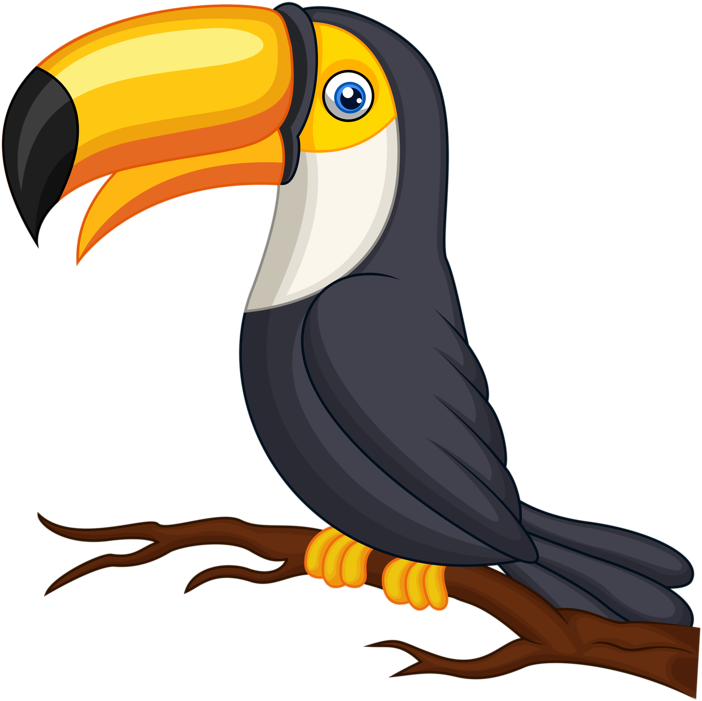 Image Royalty Free Download Birds Pinterest Clip Art - รูป นก เงือก การ์ตูน (800x762), Png Download