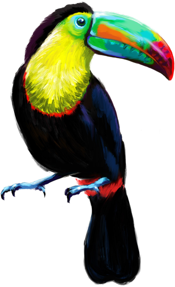Tucan Baja Transparente - Toucan (380x600), Png Download