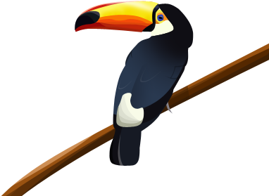 Vectorización De Un Tucan - Toucan (500x375), Png Download