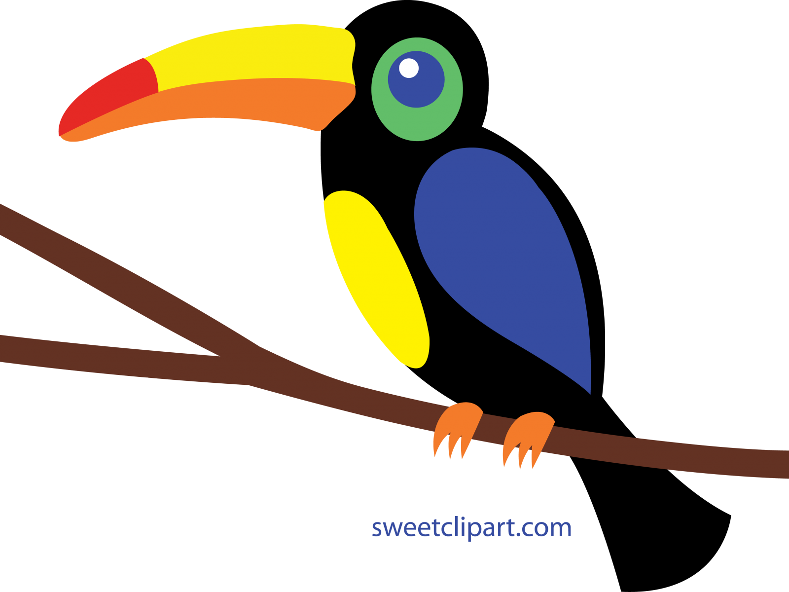 Toucan Cliparts - Toucan Clipart (1600x1200), Png Download