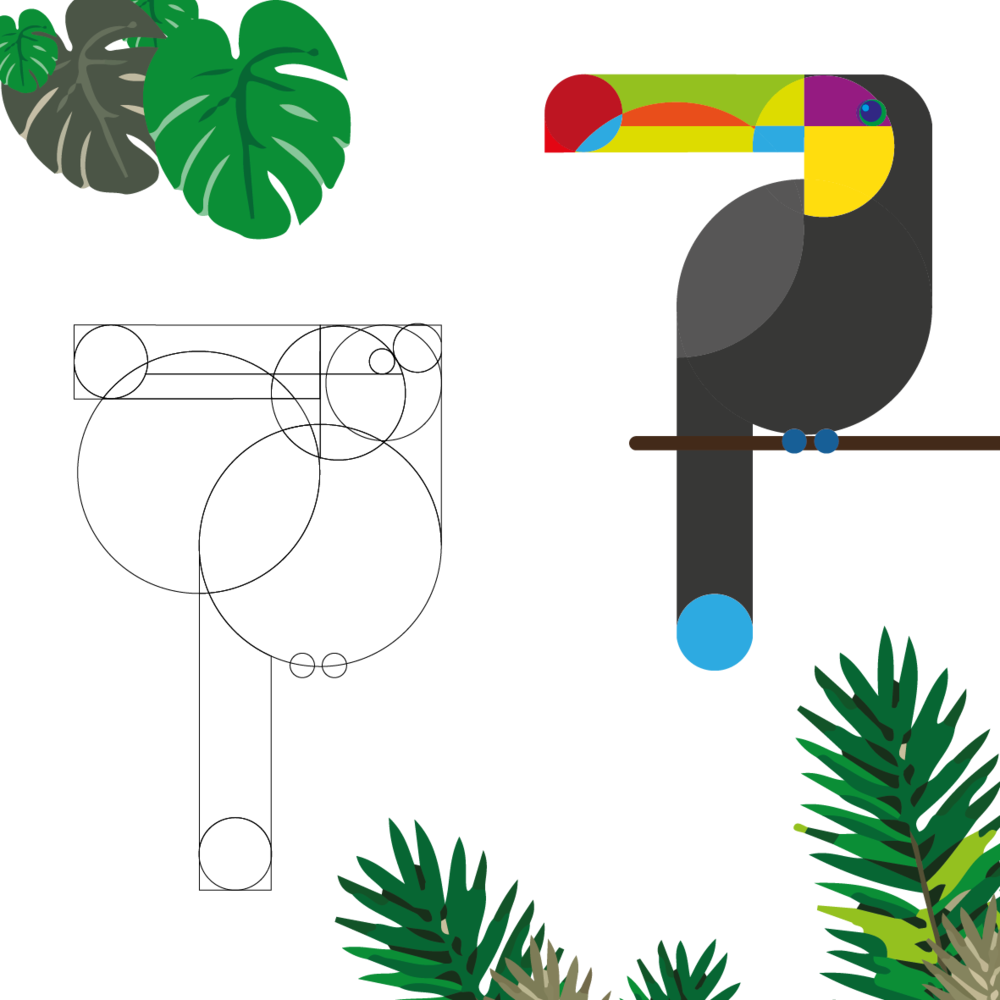 Tucan 5 08 08 08 (1000x1000), Png Download