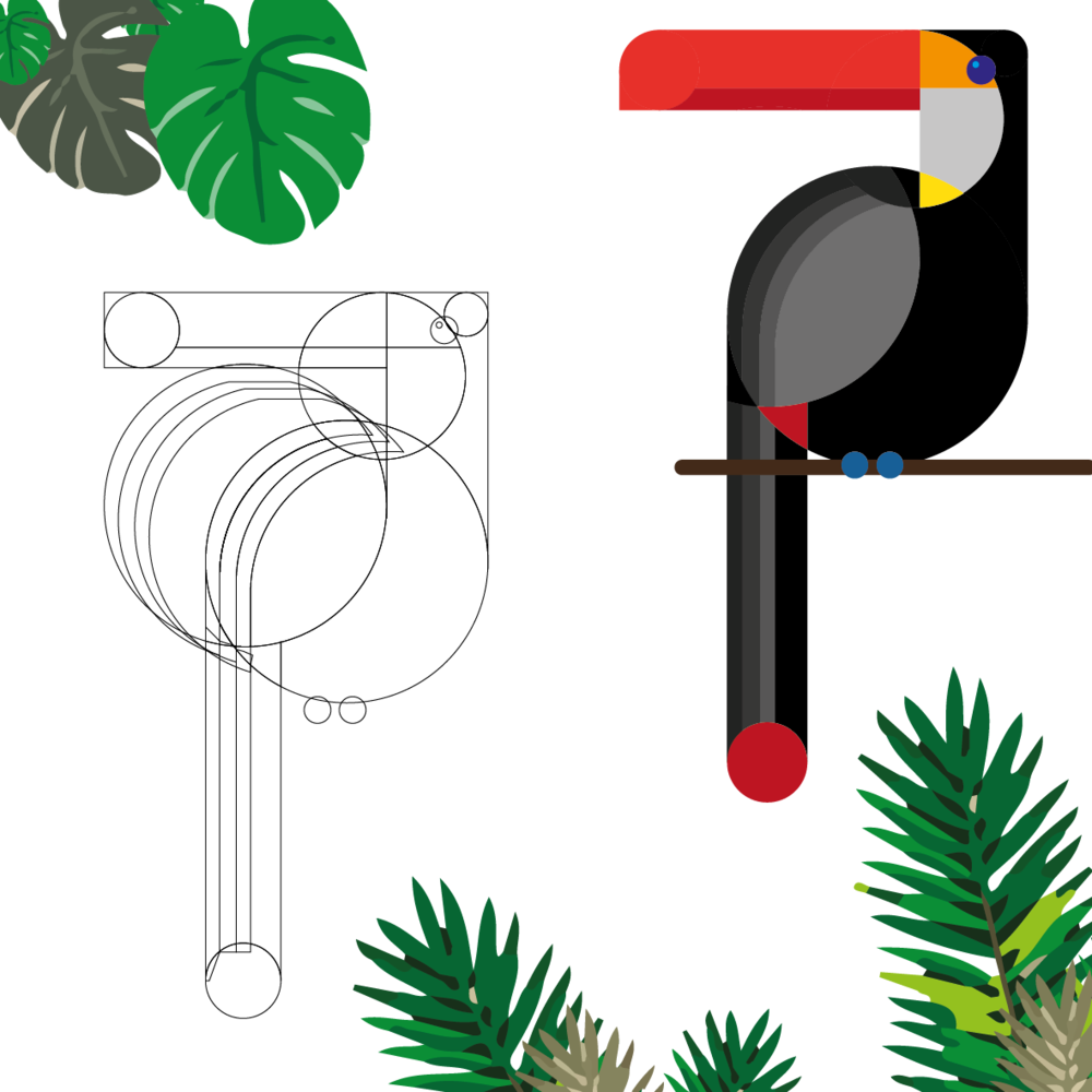 Tucan 4 08 08 (1000x1000), Png Download