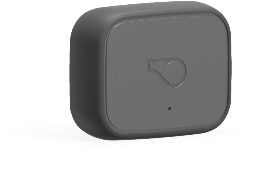 Nwhistle-3 V3 - Gadget (1000x696), Png Download
