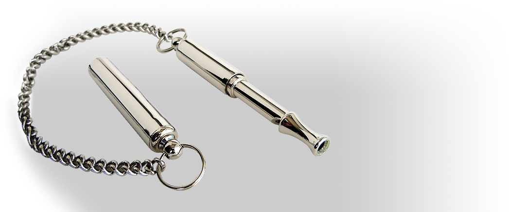 Shop Dog Whistles - Silver (1047x436), Png Download