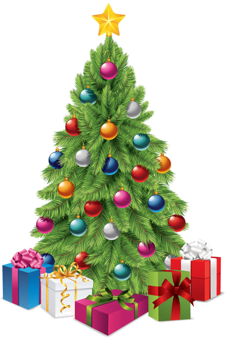 Christmas Pipes / Fir Branches Bastones, Dibujos De - Christmas Tree Clipart Clear Background (519x707), Png Download