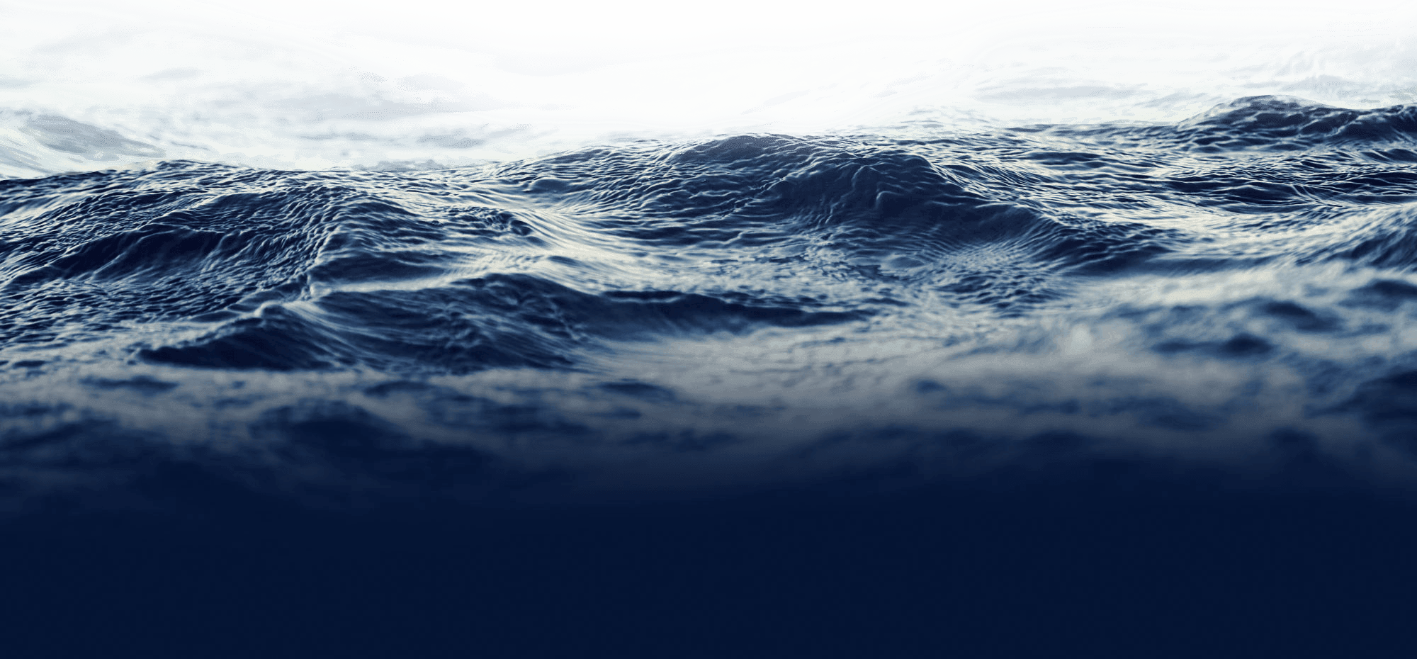 Check Out Our - Los Hijos Del Mar [book] (2000x930), Png Download