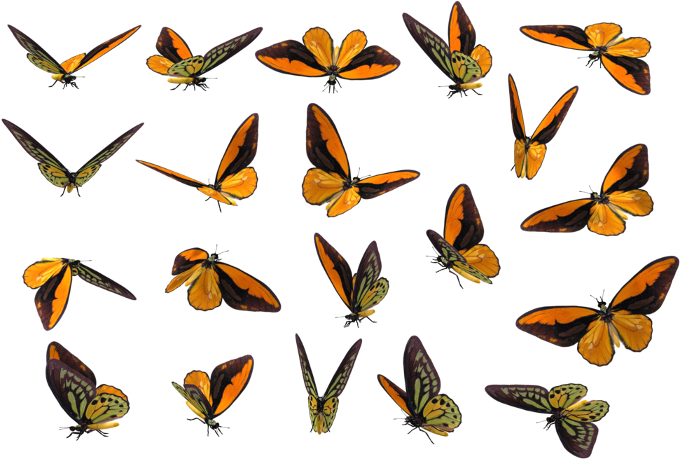 More Like Realistic Aggron By Phill-art - Realistic Butterfly Transparent Png (1024x674), Png Download