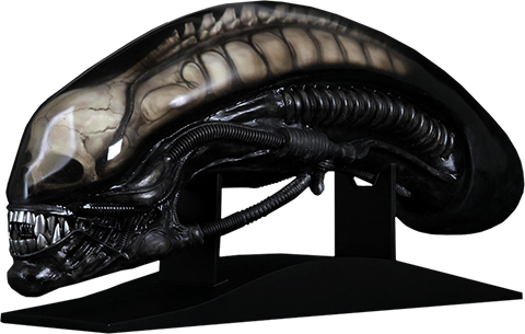 Gigers Alien Life Size Head Prop Replica Gigers Alien - Cool Props Giger Alien (480x305), Png Download