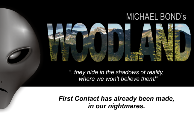 Woodland Ufo Movie Image - Woodland Movie (648x379), Png Download