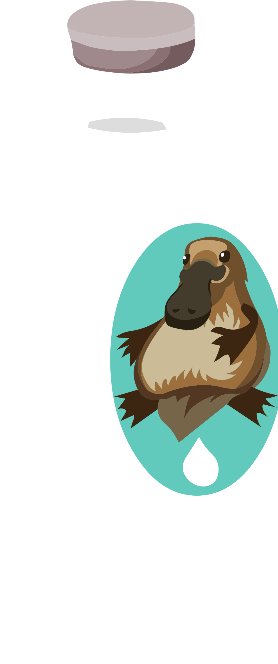 This Free Icons Png Design Of Misc Milk Platypus (1012x2400), Png Download