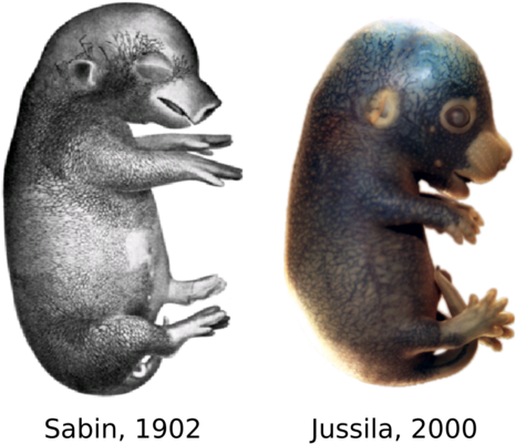 The Jeltsch Laboratory - University Of Helsinki (735x430), Png Download