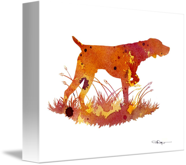 "german Shorthaired Pointer" By David Rogers - German Shorthaired Pointer (650x579), Png Download