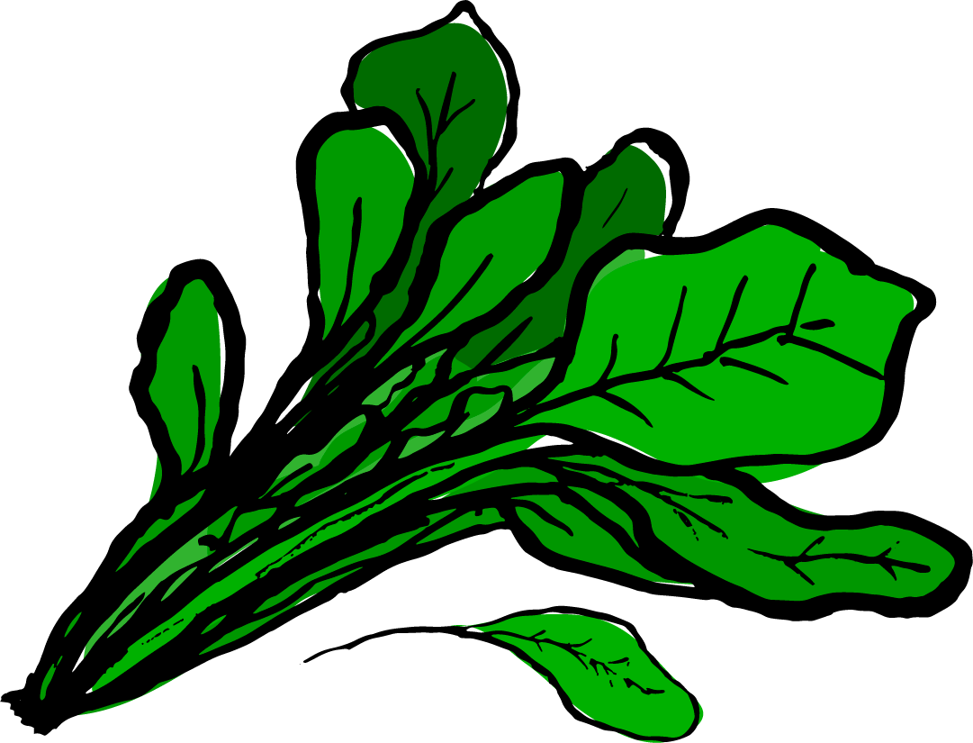 Spinach Clipart At Getdrawings - Clip Art Spinach (1081x825), Png Download