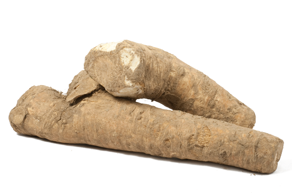 Horseradish Crowns - Blog (600x600), Png Download