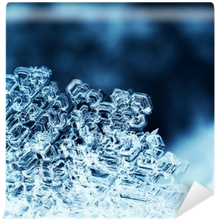 Photography (400x400), Png Download