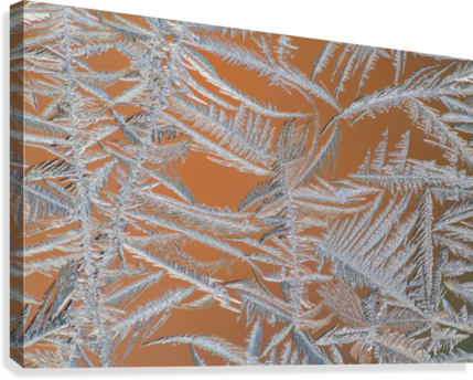Ice Crystals On A Window - Posterazzi Ice Crystals On A Window Whitehorse Yukon (429x344), Png Download