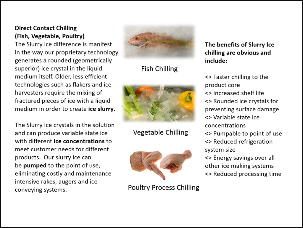 Invertebrate (1024x770), Png Download