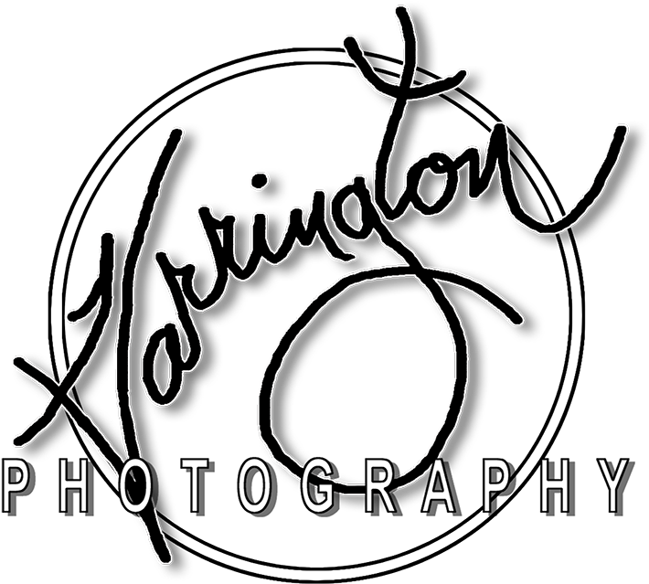 Photography (750x750), Png Download