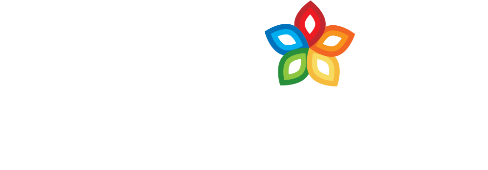 What The Chinese Lantern Festival Meant To Me As A - North Carolina (1035x357), Png Download