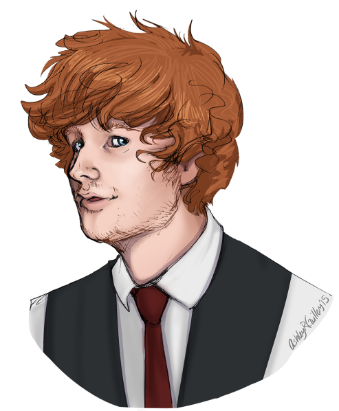 Happy Birthday, Ed - Ed Sheeran Cartoon (500x604), Png Download