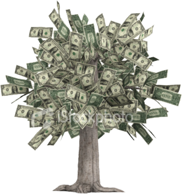 Dollar Tree - Need A Money Tree (376x400), Png Download