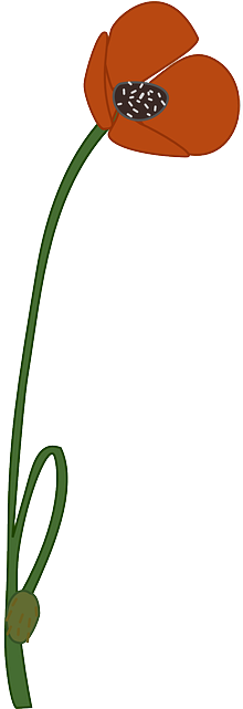 Poppy, Flower, Bloom, Red, Blossom, Plant - Poppy Clipart (320x640), Png Download