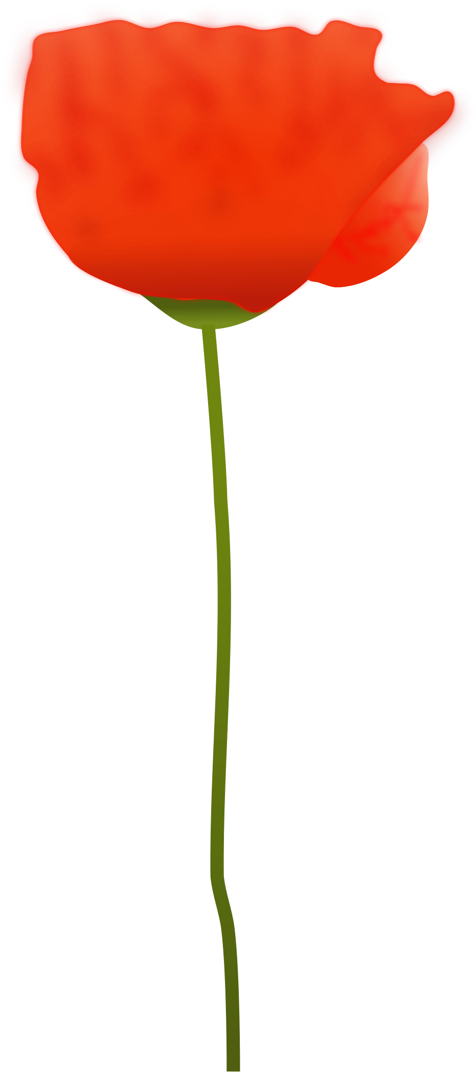 This Free Icons Png Design Of Poppy Flower (1050x2400), Png Download