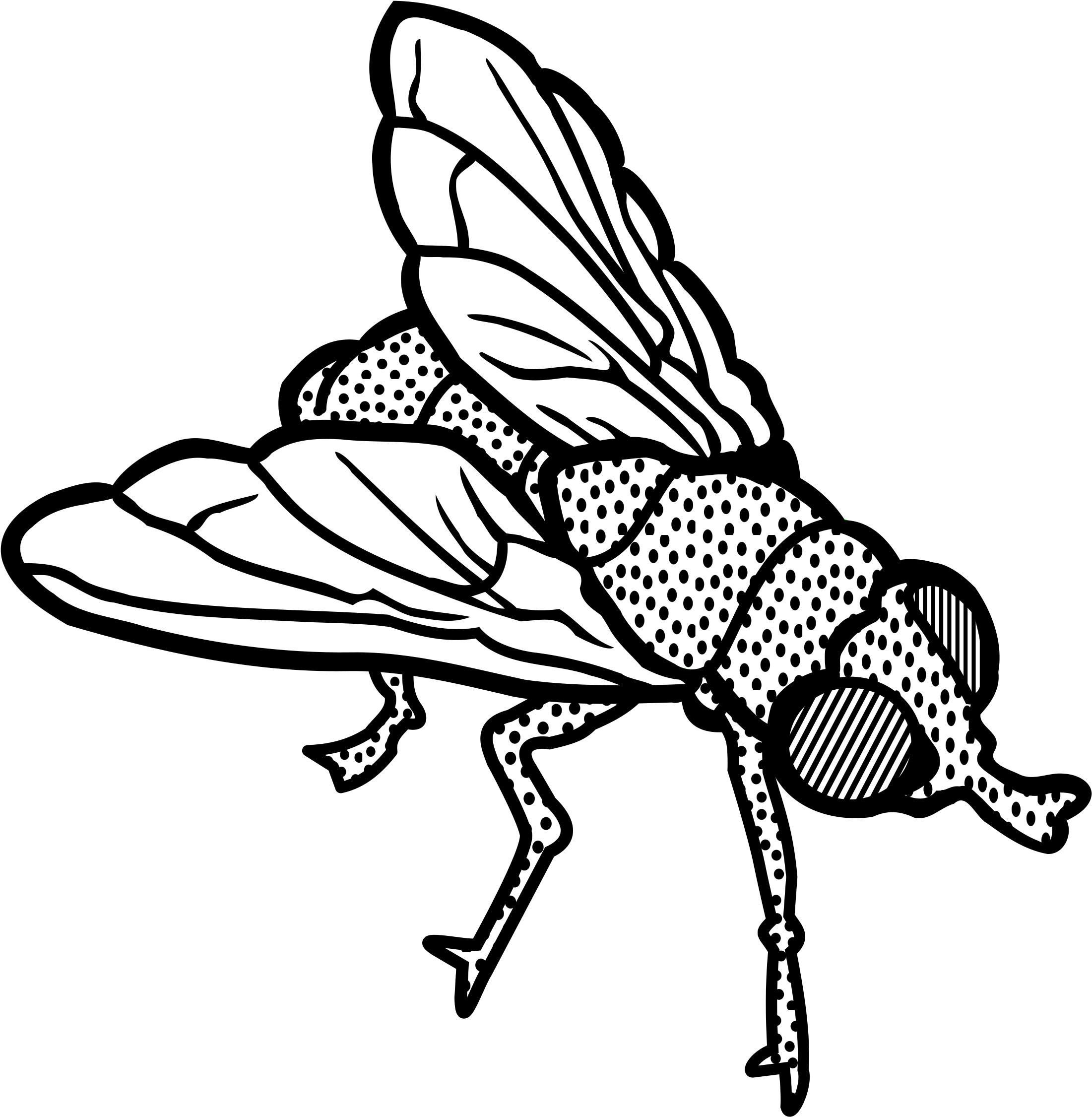 This Free Icons Png Design Of Fly (2350x2400), Png Download