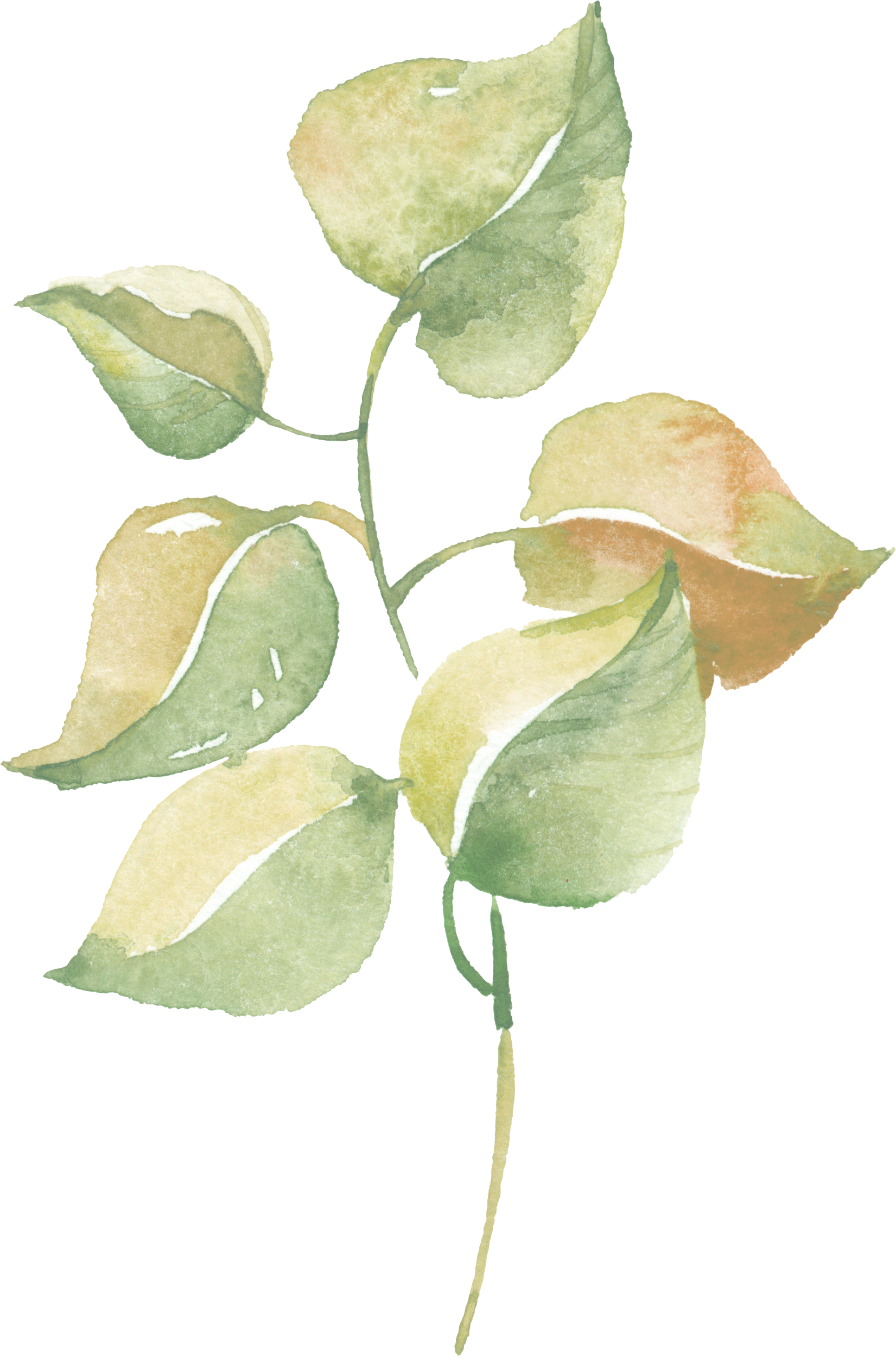 Watercolor Greenery Png Vector Download - Lavender Flower Watercolor Poster Print Wall Art Home (1651x2500), Png Download