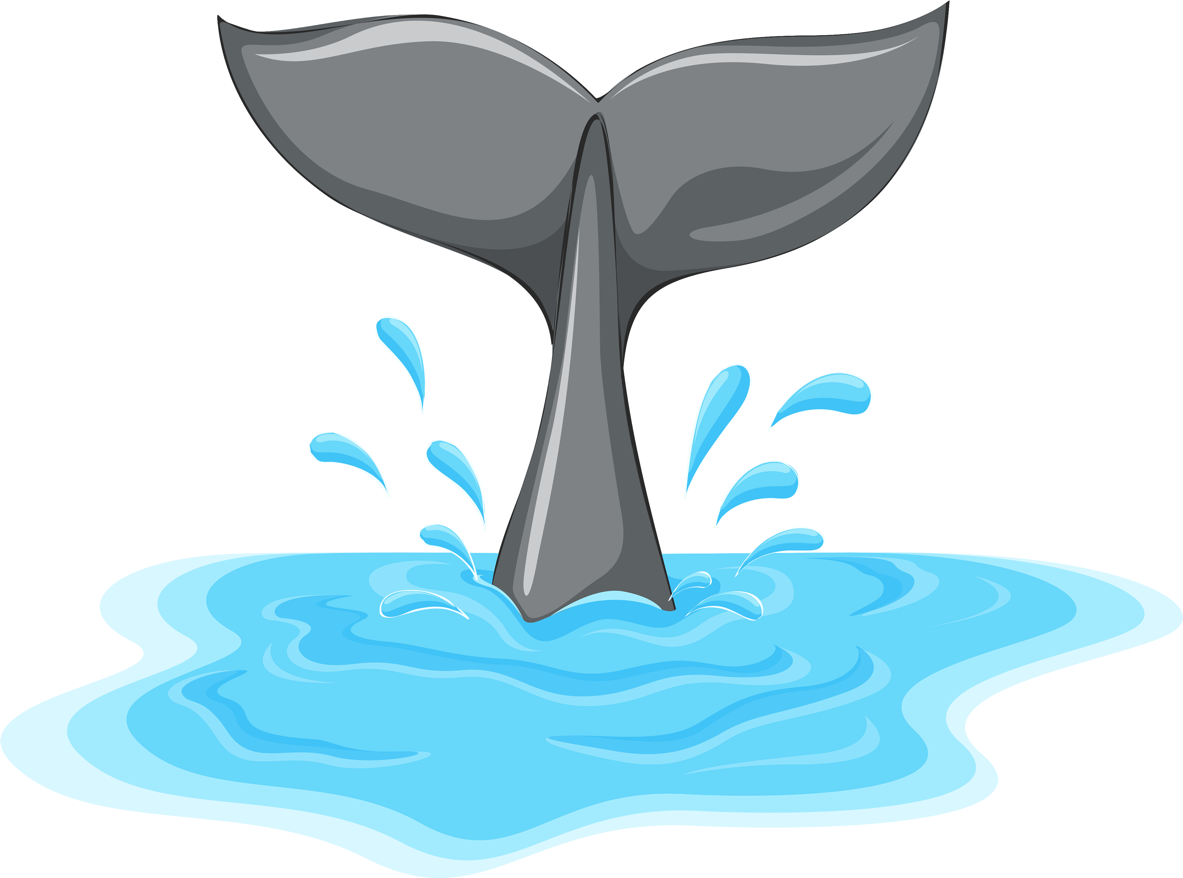 Whale Tail Png Clipart - Cola De Ballena Dibujo (4000x3006), Png Download