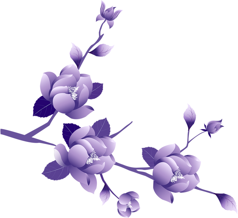 Purple Flowers Transparent Background (800x734), Png Download