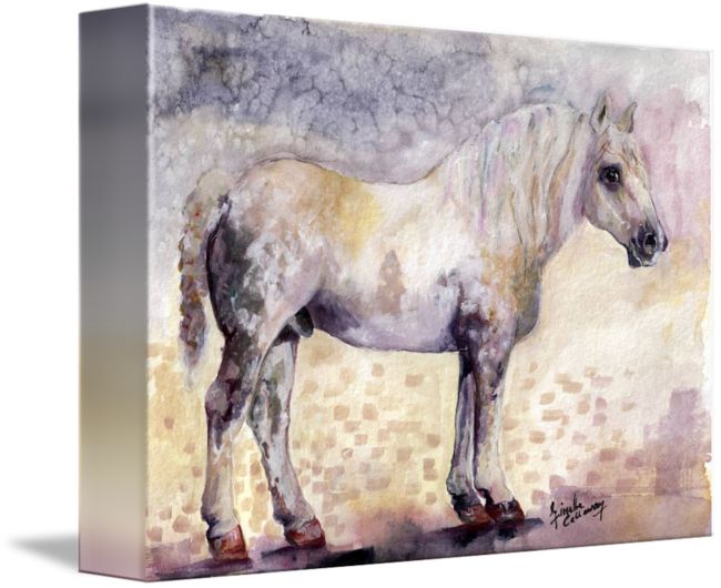 Transparent Horses Watercolor Vector Library - Percheron (650x530), Png Download
