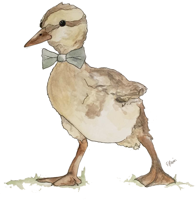 Bowtie Series - Mallard (1080x1114), Png Download