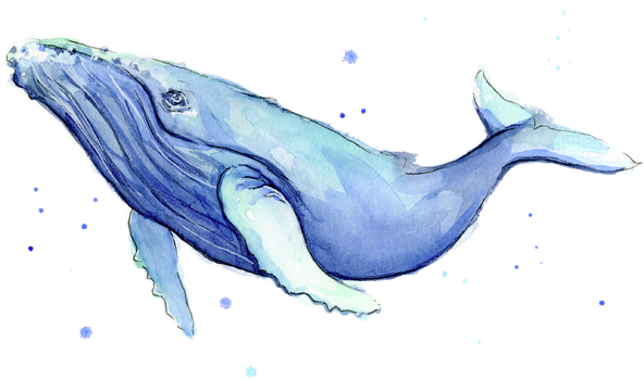 Click And Drag To Re-position The Image, If Desired - Whale Art (600x356), Png Download