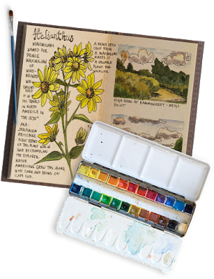 You Can Find This Article On Our New Site Here - Nature (314x400), Png Download