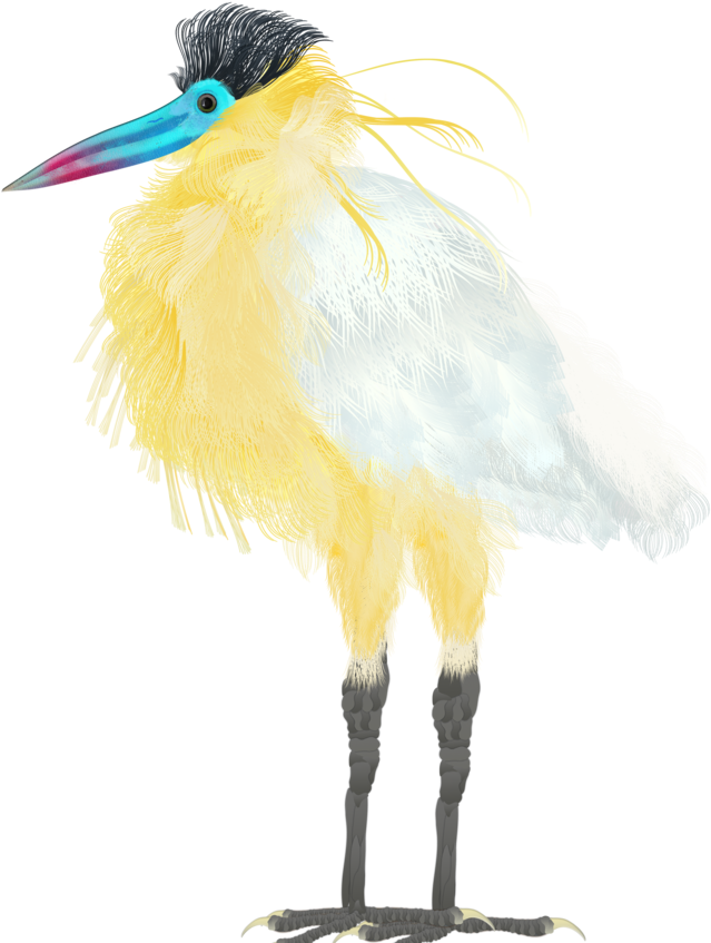 Heron Reposition - Portable Network Graphics (1000x1000), Png Download