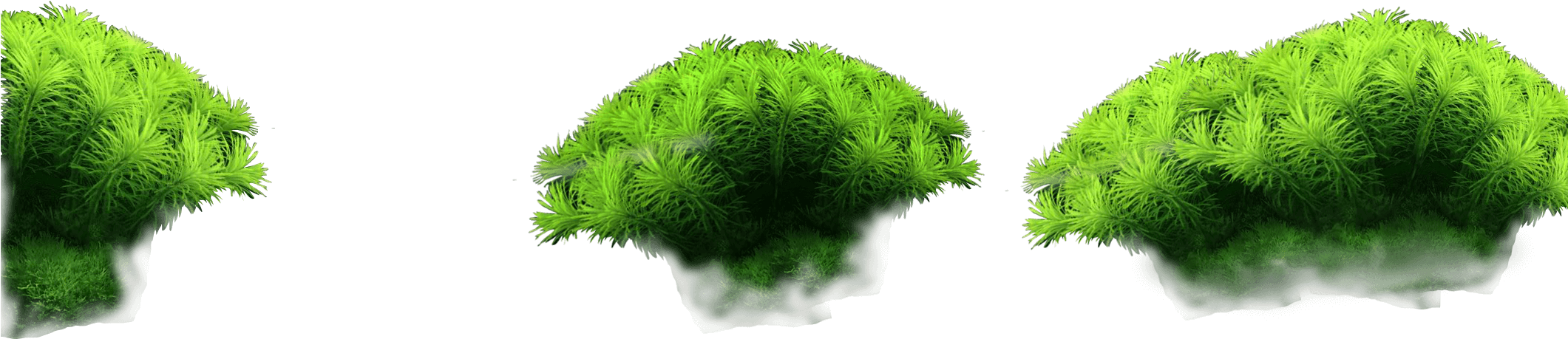 Parallax-plants - Aquarium (2120x1280), Png Download