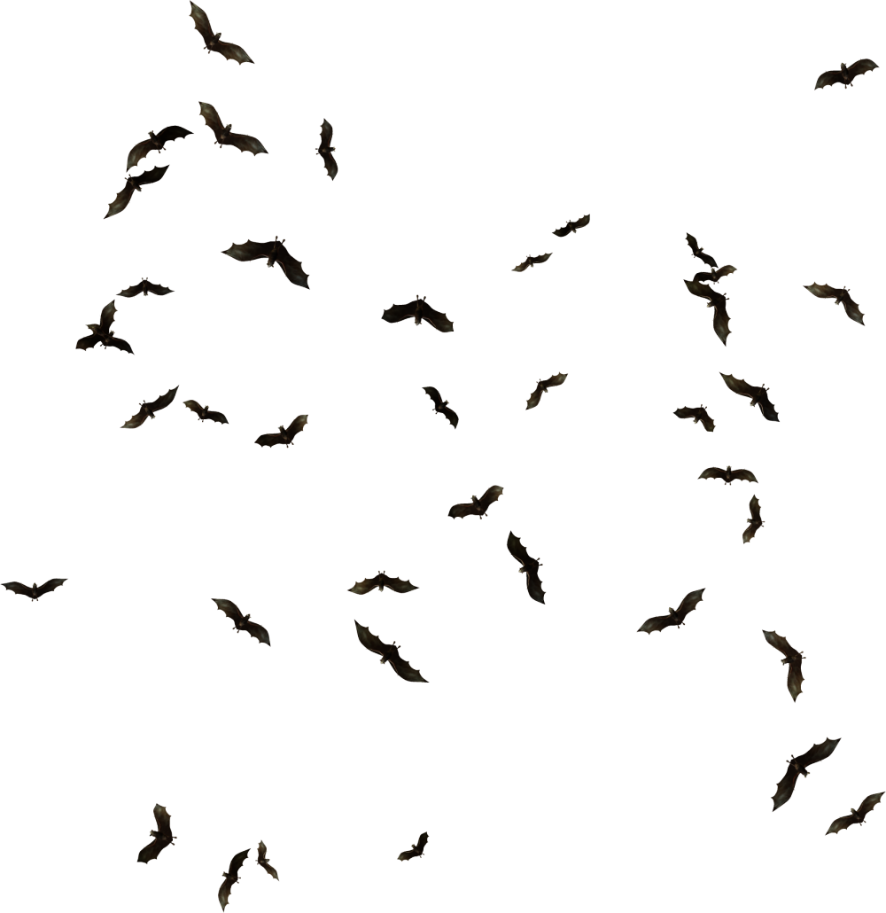 Bat Png Pic - Lil Uzi Vert Countin Ft 2 Chainz (1000x1030), Png Download