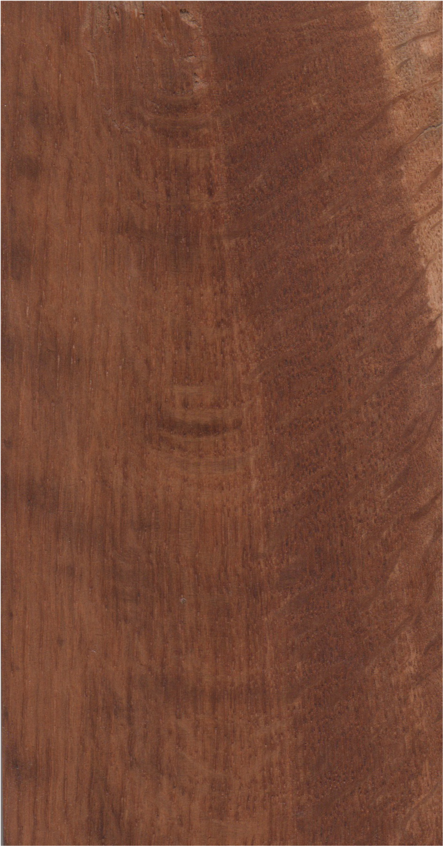 Piece Of Wood Png - Hardwood (300x542), Png Download