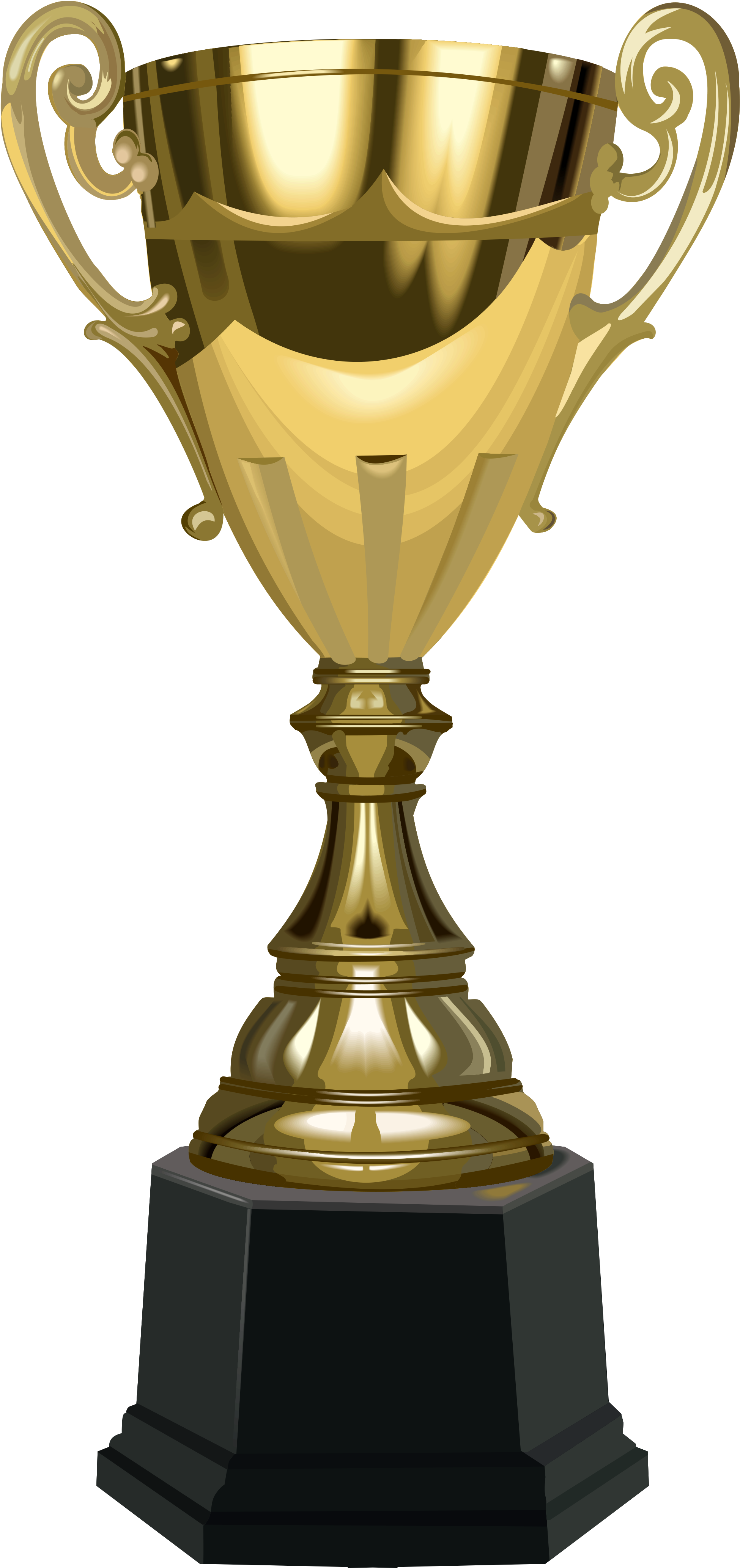 View Full Size - Award Cup Png (2223x4486), Png Download
