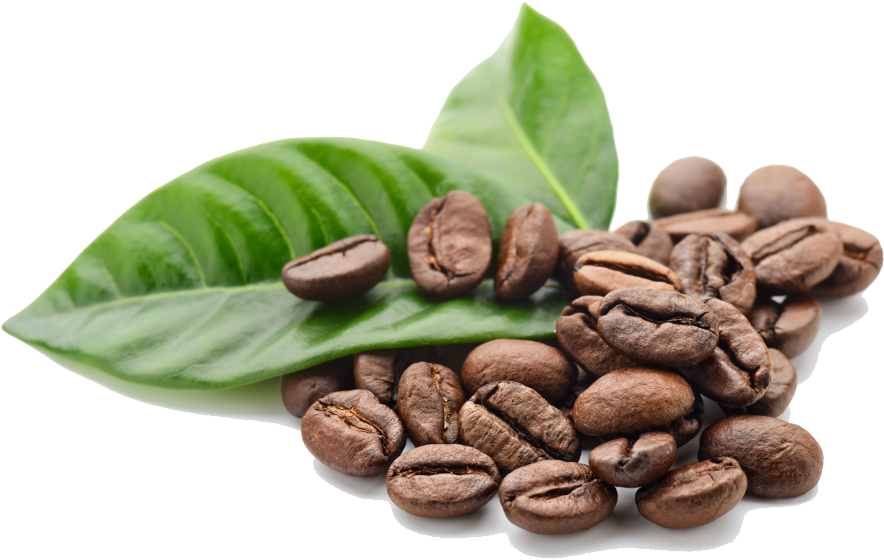 Home » Dramanti Home » Coffee Beans Free Png Image - Coffee Beans With Leaf (1000x1000), Png Download